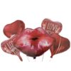 Red Heart Lip Foil Balloon 5 Pc Set for Anniversary Valentine Day Decoration