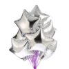 Party Decor Mall Star Silver 10" inch Foil Balloon for Birthday Party, Anniversary & Valentine Party Pack of 10
