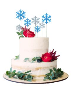 20 Pcs Silver & Light Blue Cardstock Cake & Cupcake Toppers for Christmas & Frozen Princess Birthday Themes