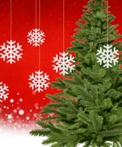 Merry Christmas Snowflake Bunting - (5.5 Inches/250 GSM Cardstock/White/6)