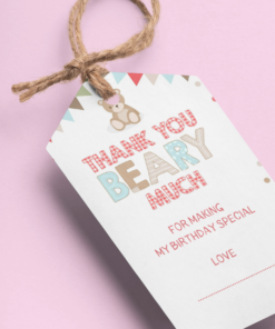Teddy Bear Theme Birthday Favour Tags (2 x 3.5 inches/250 GSM Cardstock/Multicolour/30Pcs)