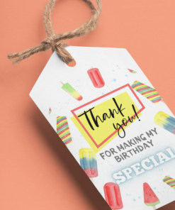 Ice Cream Theme Birthday Favour Tags (2 x 3.5 inches/250 GSM Cardstock/Mixcolour/30Pcs)