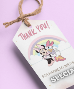 Minnie & Donald Duck Theme Birthday Favour Tags (2 x 3.5 inches/250 GSM Cardstock/Mixcolour/30Pcs)
