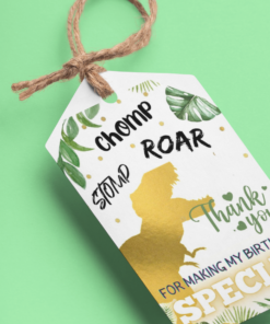 Dinosaur Theme Model 2 Birthday Favour Tags (2 x 3.5 inches/250 GSM Cardstock/Multicolour/30Pcs)