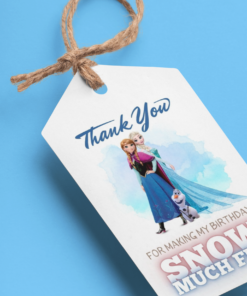 Frozen Theme Model 2 Birthday Favour Tags (2 x 3.5 inches/250 GSM Cardstock/Mixcolour/30Pcs)