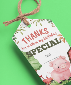 Farm House Theme Birthday Favour Tags (2 x 3.5 inches/250 GSM Cardstock/Mixcolour/30Pcs)