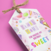 Ice Cream Theme Model 2 Birthday Favour Tags